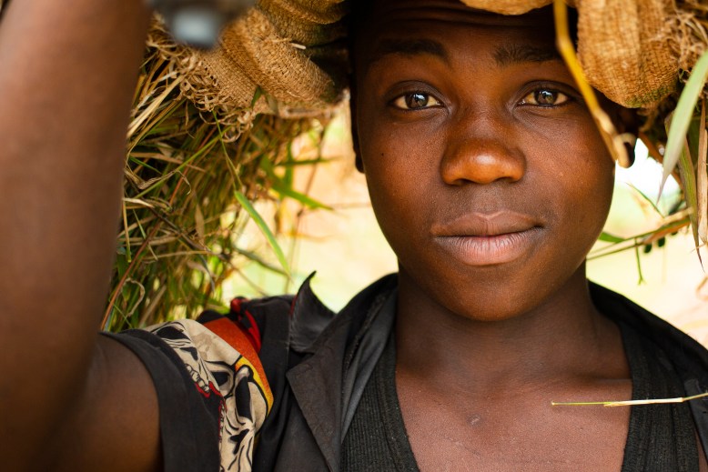 Acceso y asequibilidad