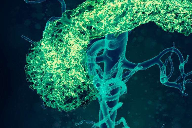 Descubrimiento y desarrollo