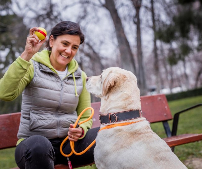 Señora jugando on su mascota, un perro.