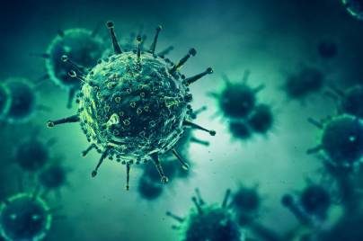 Ilustración de la sección de enfermedades infecciosas