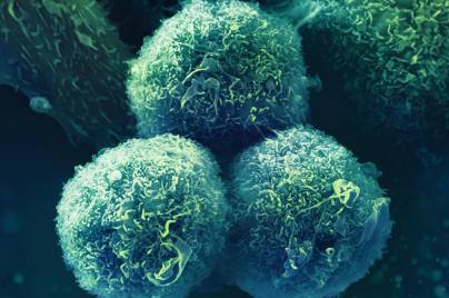 Ilustración de la sección oncología